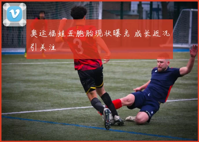 奥运福娃五胞胎现状曝光 成长近况引关注