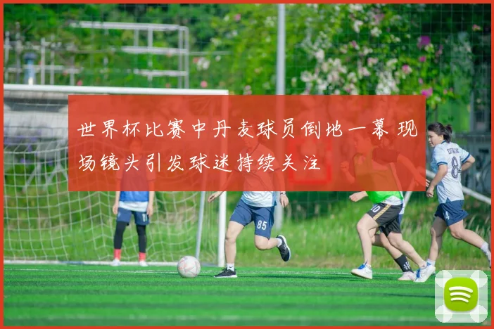 世界杯比赛中丹麦球员倒地一幕 现场镜头引发球迷持续关注